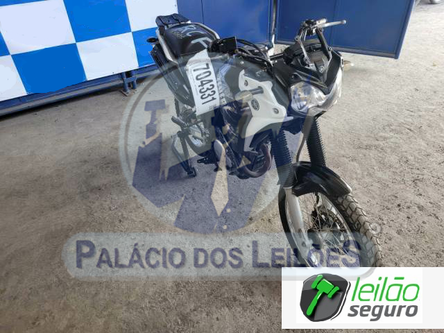 LOTE 016 XTZ 250 TENERE BLUEFLEX